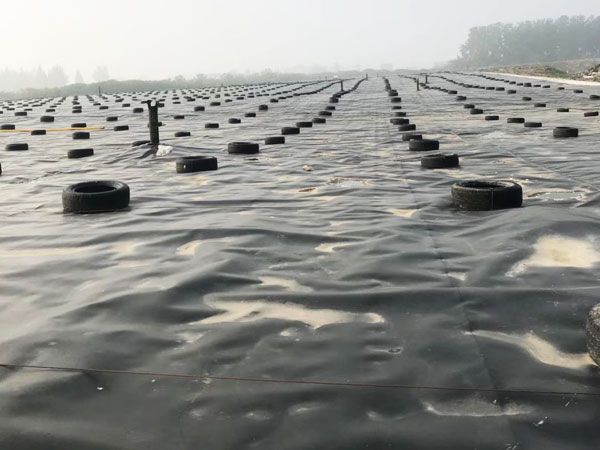 湖南長污水處理廠土工膜工程